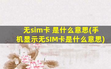 无sim卡 是什么意思(手机显示无SIM卡是什么意思)